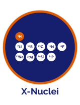 nuclei