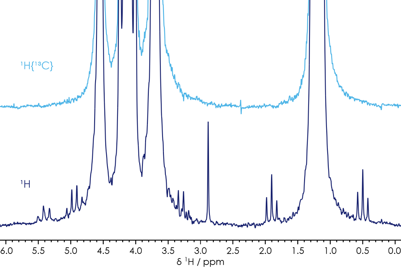 1H and 1H(13C) NMR spectra of a Li-ion battery