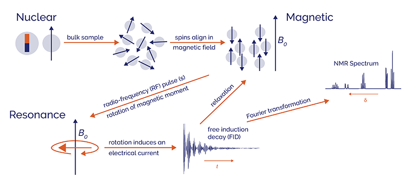 NMR spectroscopy - schematic overview