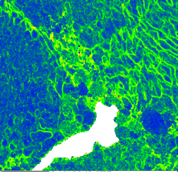 Fig. 4d. Local misorientation map