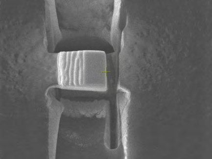 Fig. 1d: Ion image showing further cutting of excess carbon adhesive disc from section