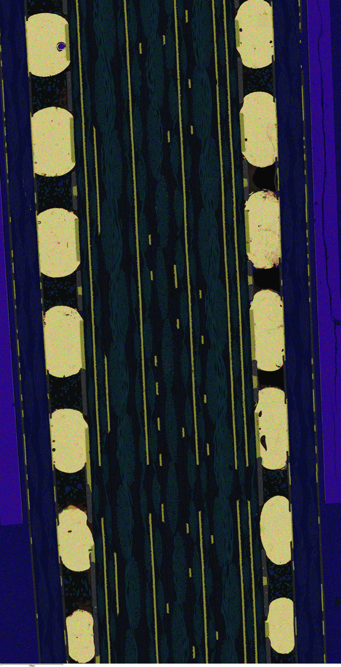 Figure 4. Large Area BEX Map of the cross-section of the PCB. The map consists of 44 fields and was collected in 2 minutes 7 seconds.