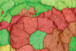 Figure 3b: Scattered pole figures from the EBSD map in Figure 3a