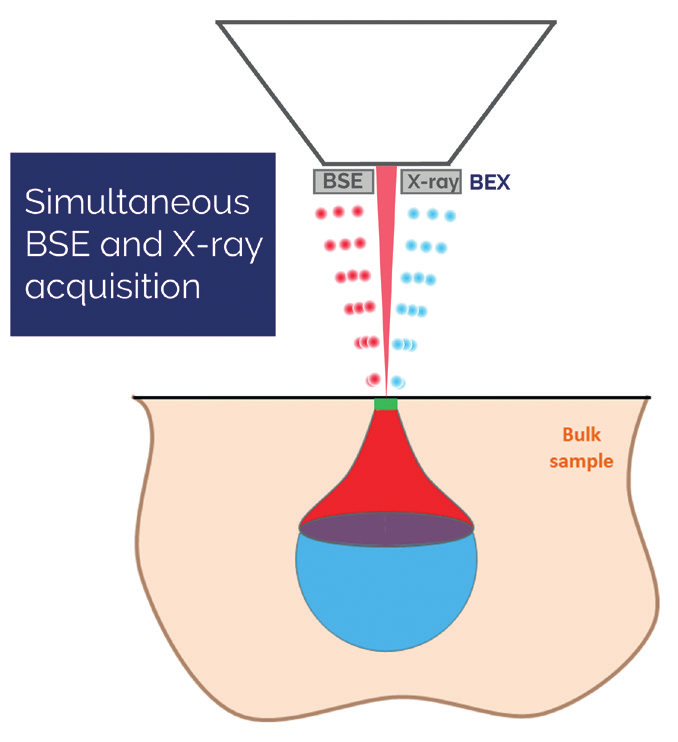Figure 1. Schematic diagram showing the simultaneous capture of BSE and X-ray data by the Unity BEX detector, inserted beneath the pole piece.